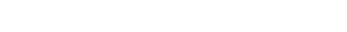 SPORT EXECUTIVE